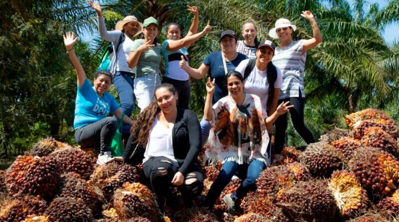 Gobierno entrega finca con cultivo de palma, a 60 familias en los Llanos Orientales