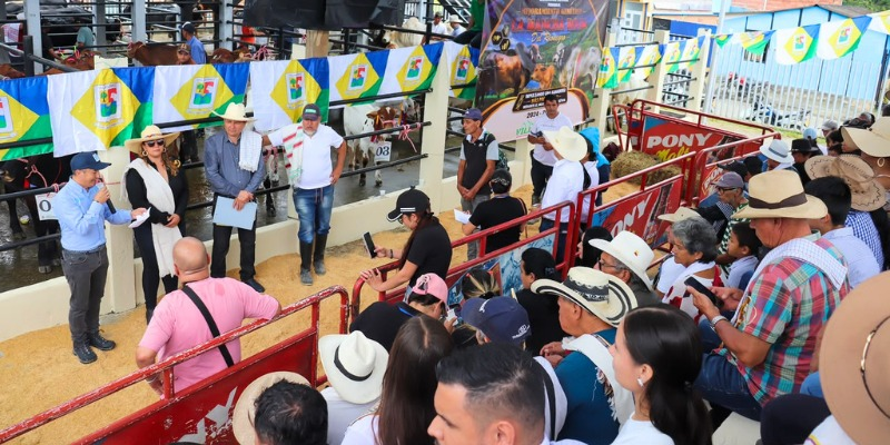 Villagómez destaca avances en mejoramiento genético bovino con 130 terneros nacidos y 240 vacas gestantes.