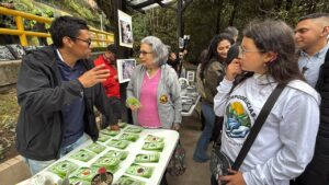 La Quebrada las Delicias renueva su entorno y recibe el quinto bajopuente revitalizado de Bogotá