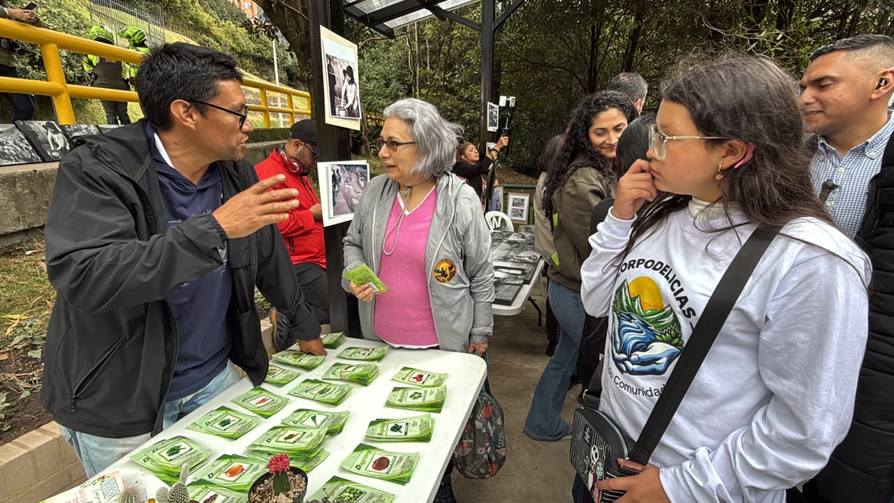 La Quebrada las Delicias renueva su entorno y recibe el quinto bajopuente revitalizado de Bogotá
